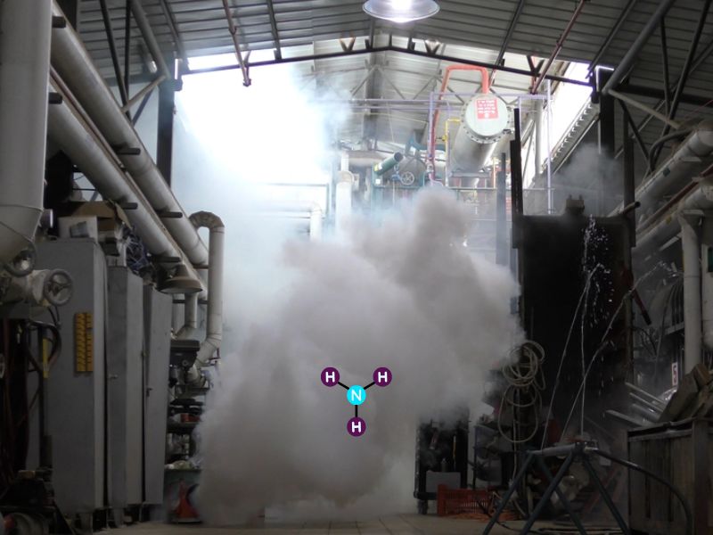 Mối nguy hiểm của Amoniac