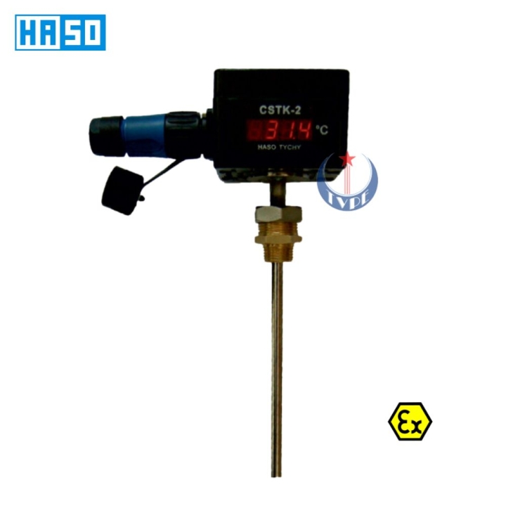 Đầu đo nhiệt độ dò CSTK-2