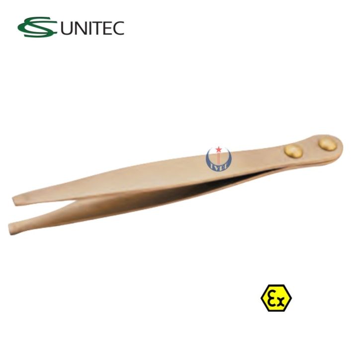 Nhíp đồng phòng nổ Ex610